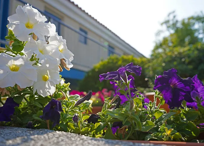 Jacuzzi hotel: Green Bungalows Hotel Apartments