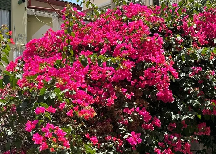 Villa Carla, A Charming Villa In The Center Of Taormina