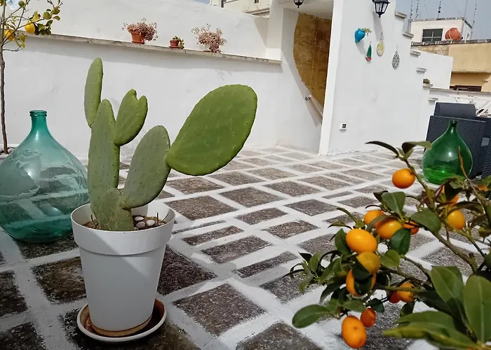 Hotel adatto agli animali: Aremu