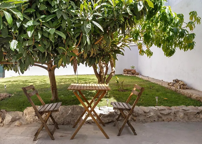 Hotel que admite mascotas: Obispo Rancés 12 A