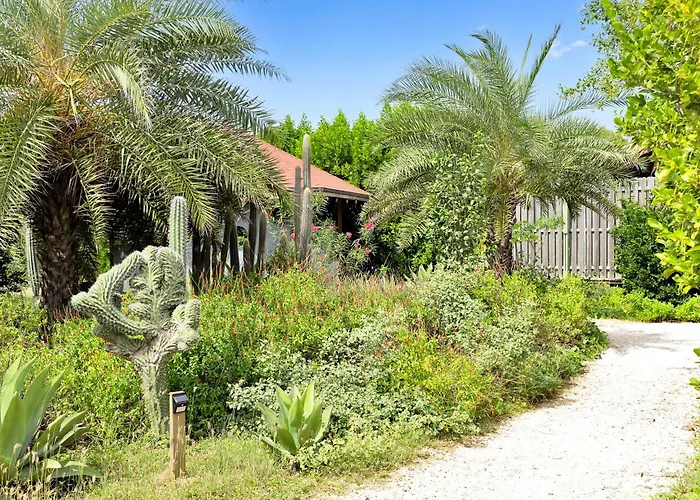 Hotel dichtbij College: Red Palm Village