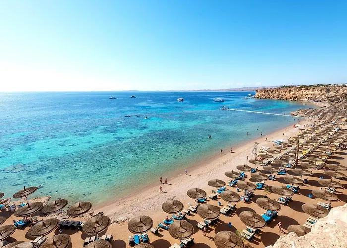Parco acquatico Hotel: Reef Oasis Beach Aqua Park Resort
