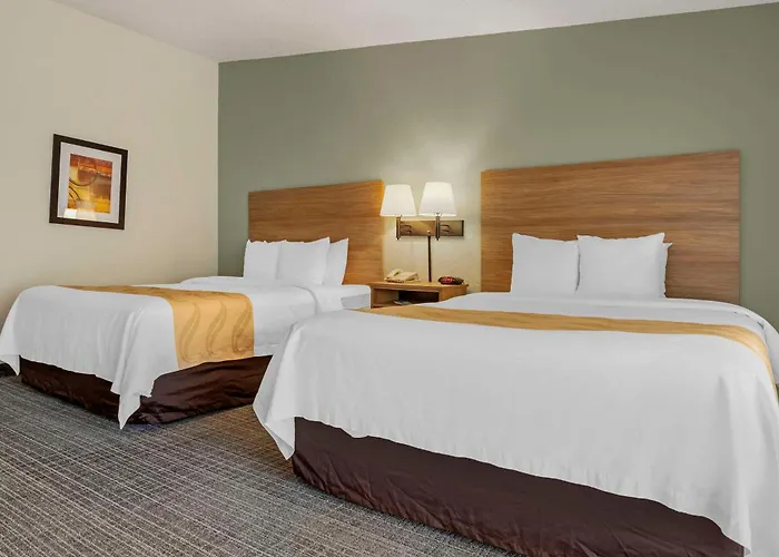 Cheap hotels Quality Inn & Suites Nrg Park - Medical Center