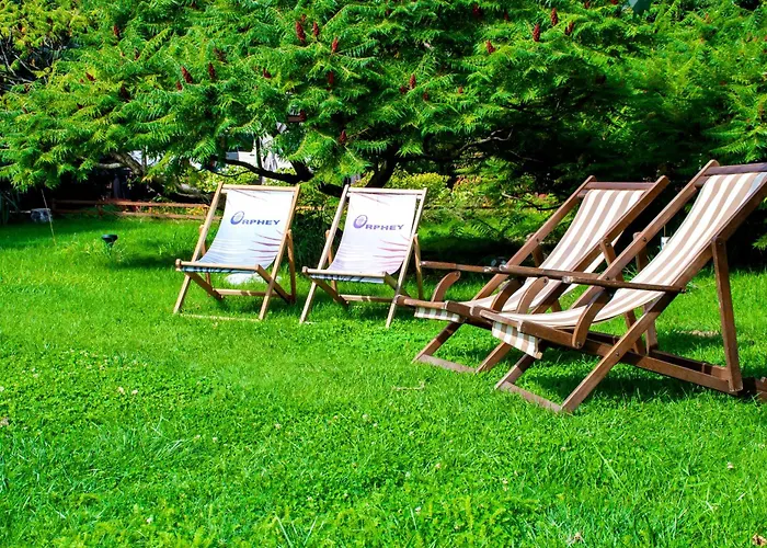 Pet Friendly hotel: Hotel Orphey