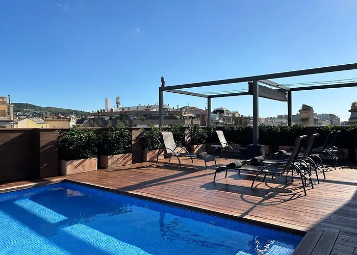 Hôtel accueillant les animaux: Chi