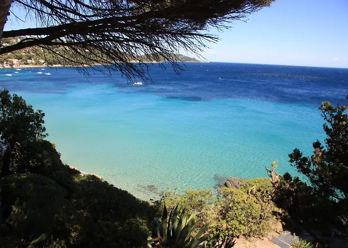 Hotel Les Alcyons à Le Lavandou
