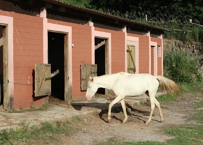 Pousada com piscina: Big Valley Hotel Fazenda