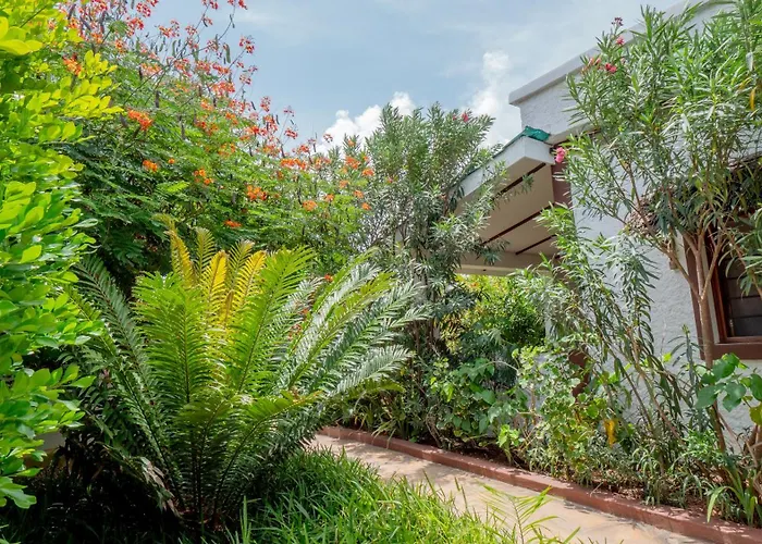 Nyumbani Residence Suites Jambiani 