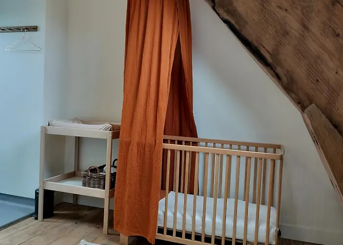 B&B 'Hof Baaiweg' Met Barrelsauna Zoutelande