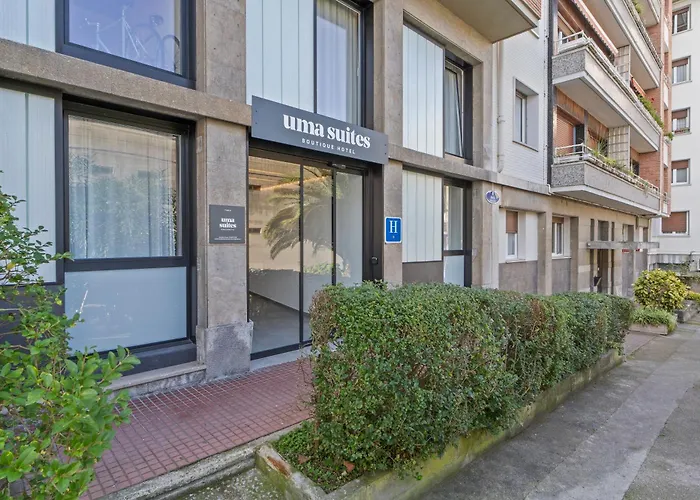 Perros hoteles Colectia Ondarreta