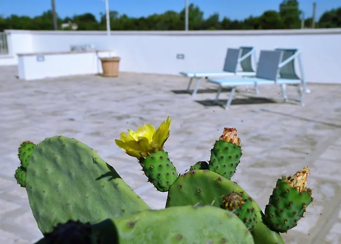 B&B Domus Terra Mare