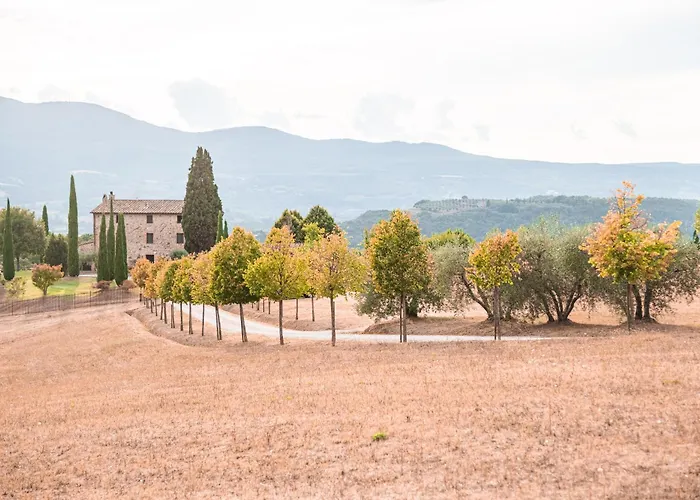 San Carlo A La Molinella