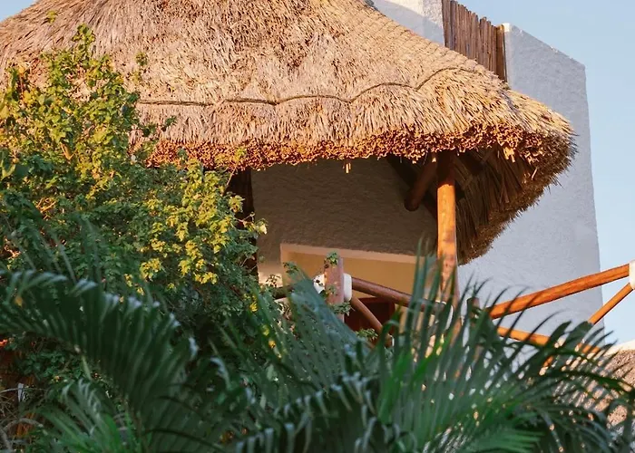  Casa Mech