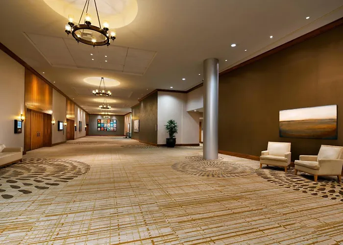 Luxury hotel only: The Westin Bellevue