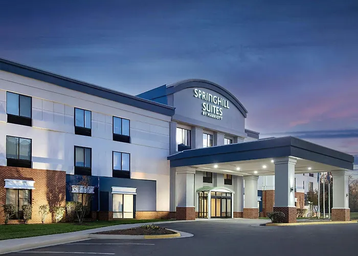 Hotel: Springhill Suites Alexandria