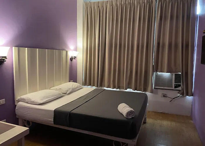 Hostel: The Purple Tree Hostel