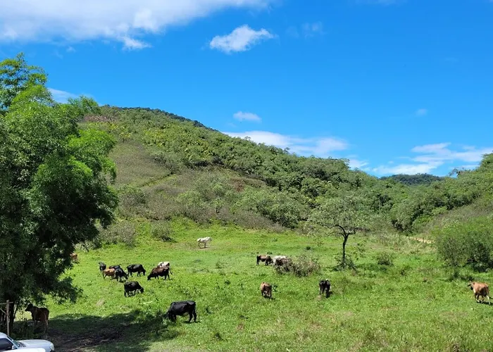 Pousada Camping dos Ypês
