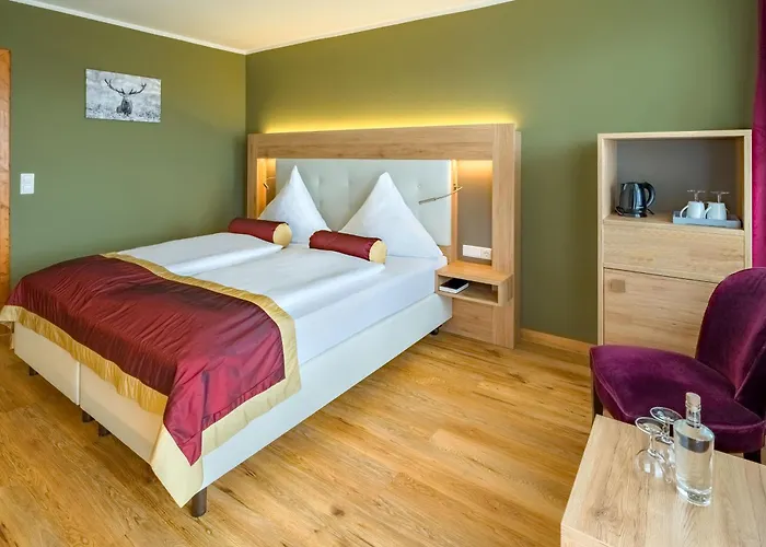 Hôtel accueillant les animaux: Hotel Schwarzwald Freudenstadt