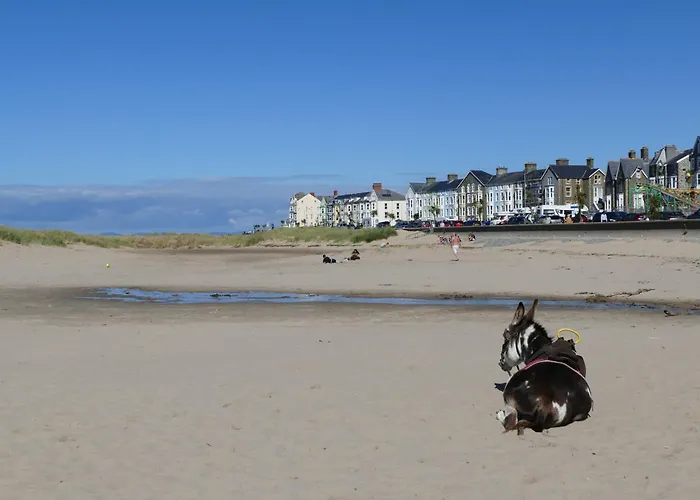 Bae Abermaw Hotel