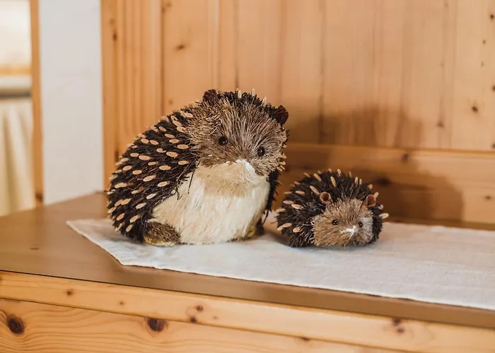 Hotel per sciatori: Hotel Arnika