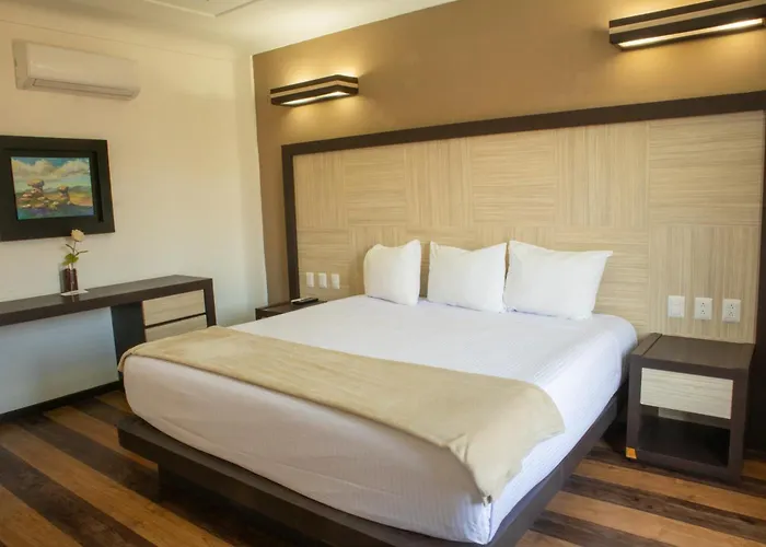 Pet Friendly hotel: Hotel Paseo De La Presa