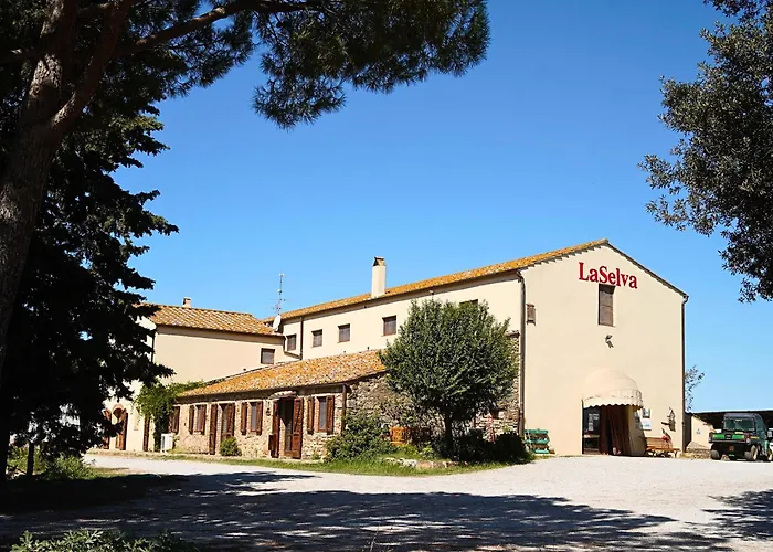 Hotel vicino al College: Laselva