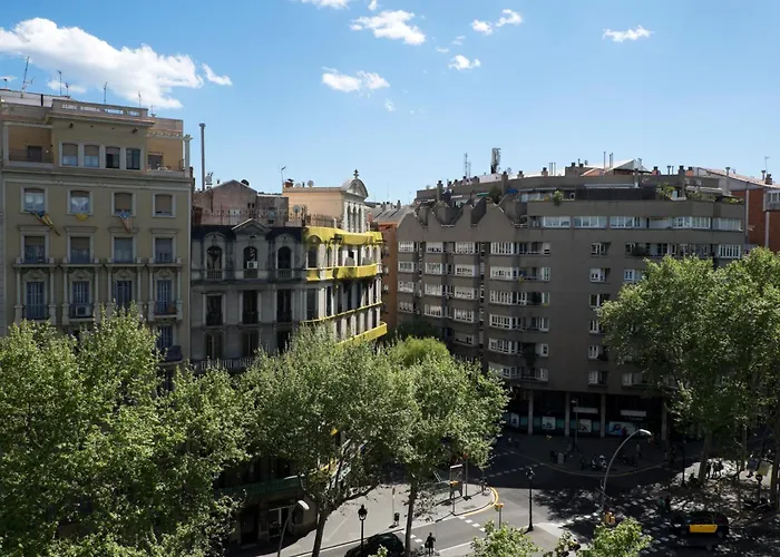 Hôtel accueillant les animaux: Chi