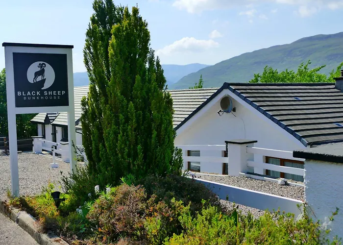 Hotel near College: Black Sheep Bunkhouse