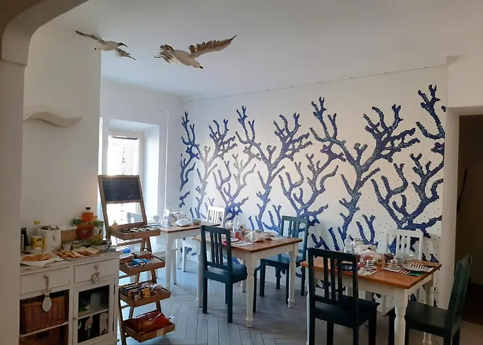 B&B Jolie