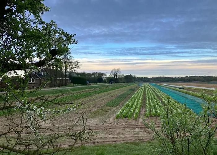 Strandhotel: Lowlander Bnb