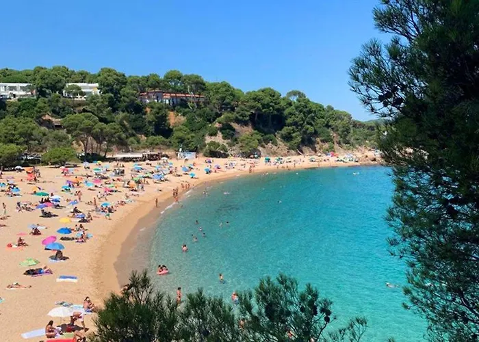 Hotel cerca del colegio: Kampaoh Platja D'Aro