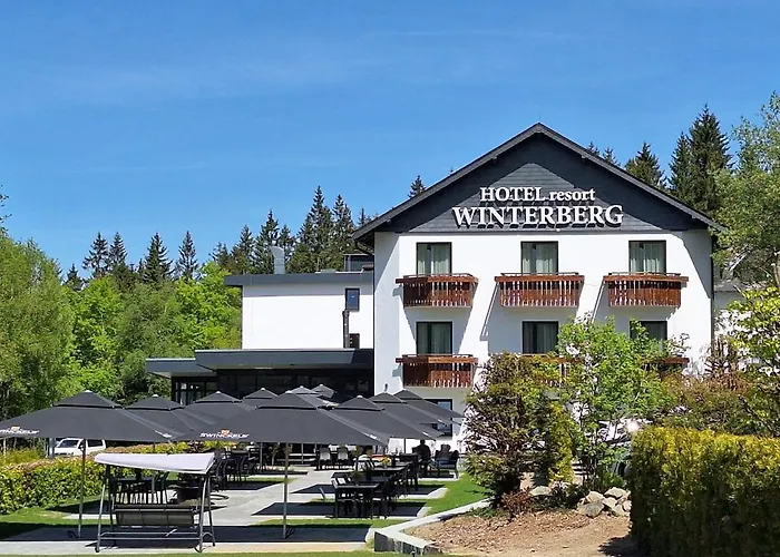 Resort: Hotel Winterberg Resort
