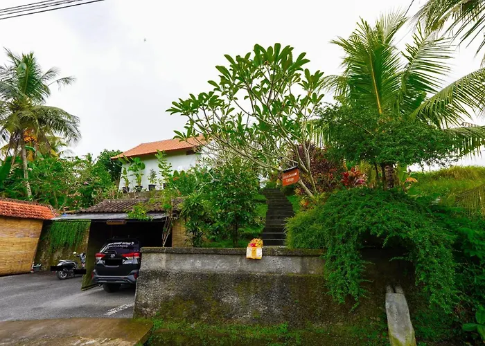 Green Coconut Cottage