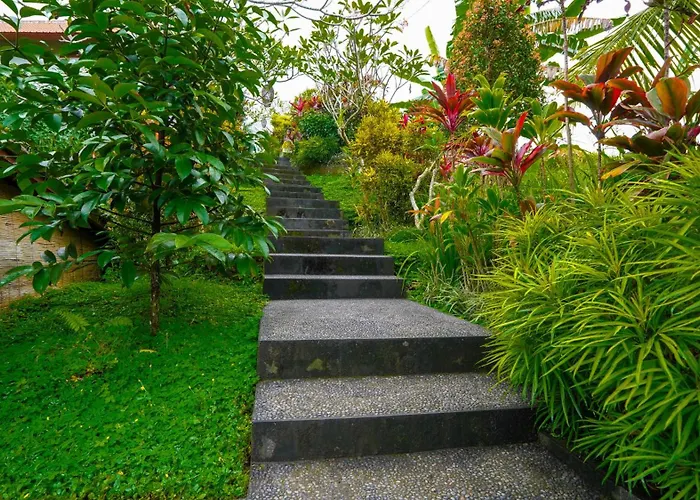 Green Coconut Cottage