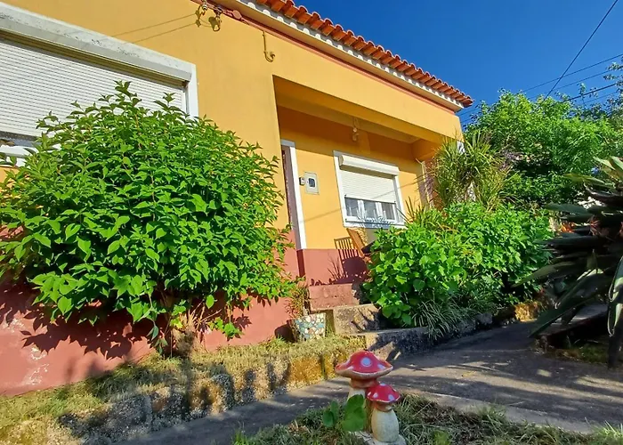 Casa Da Tia Lena Acomodação com café da manhã Coimbra