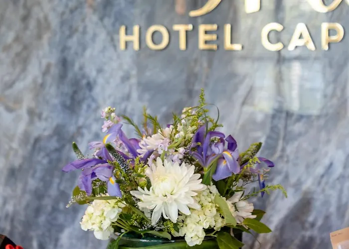 Iris Hotel Cape Cod