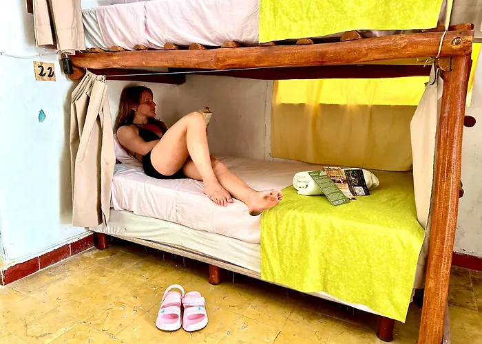 Guacamayas Hostel&Social Laundry