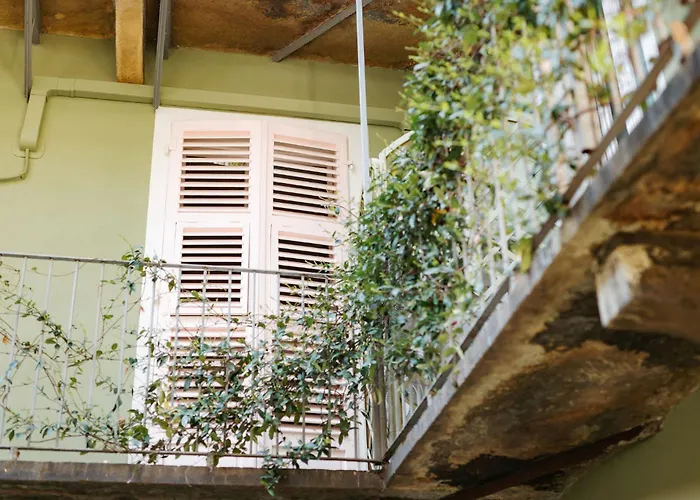 Albergo economico: Tomato Backpackers