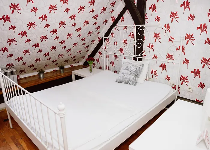 Hostel: Hostel Centar