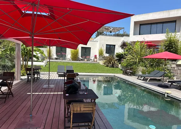 Hôtel accueillant les animaux: Villa Le Sud