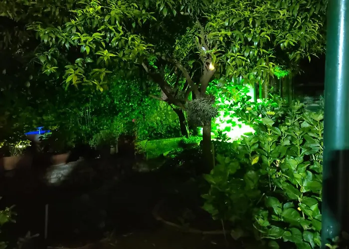  Dei Fiori