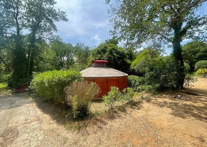 Hôtel accueillant les animaux: B&B L'Albatros