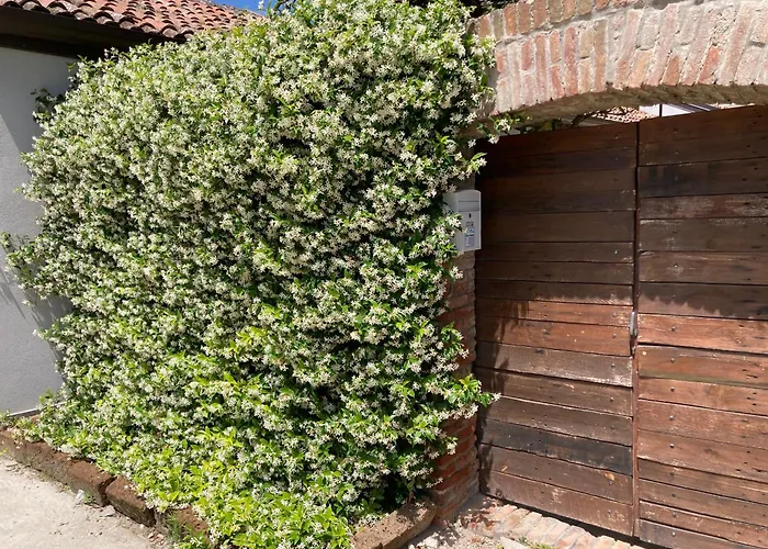 Albergo economico: Al Ruderino