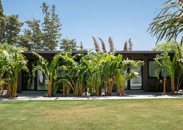 Hotel cerca del colegio: Alojamiento rural FINCA AZUCENA SUITE only adults