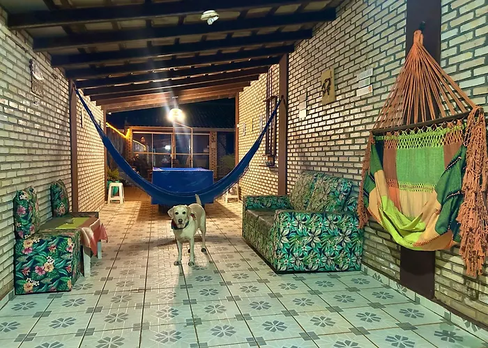 Zizi Home Vibes