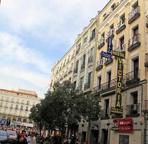 Perros hoteles Victoria I