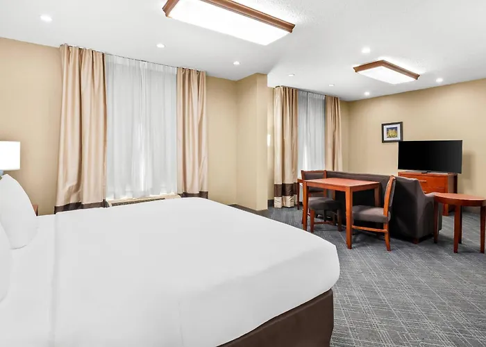 Comfort Inn University Area