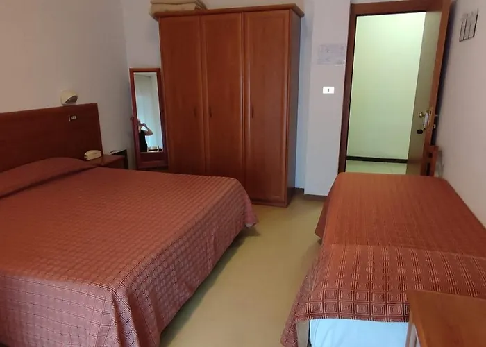 Hotel adatto agli animali: Hotel San Remo