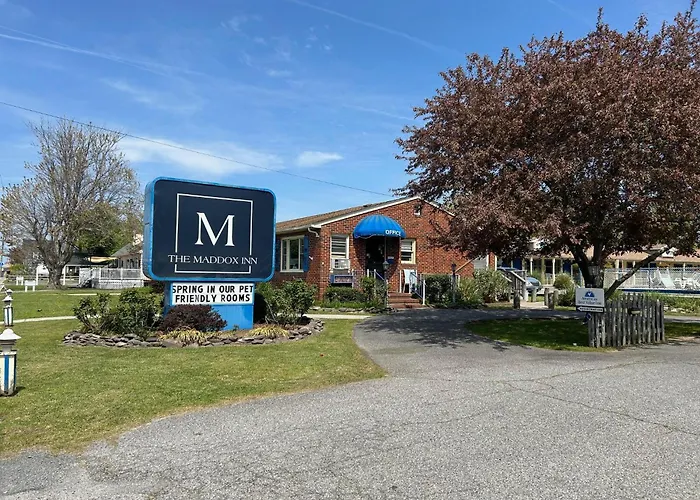 Pets Allowed Hotel Maddox Inn