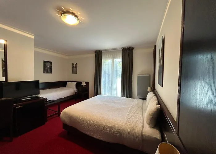 Hôtel accueillant les animaux: Hostellerie St Vincent